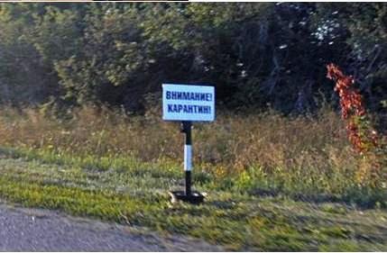 Саратовская область. Удивительный Турковский край...