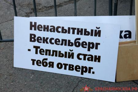 Москва. Коммунисты отстаивают зелёный Тёплый стан для детей и внуков