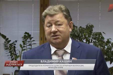 Программа «Стоит заДУМАться» на телеканале "Красная линия". Выпуск от 21 ноября 2016 года