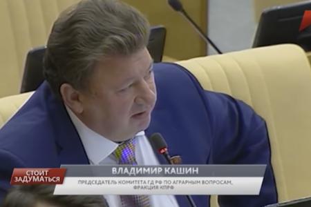 Программа «Стоит заДУМАться» на телеканале "Красная линия". Выпуск от 7 ноября 2016 года