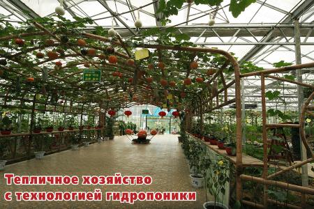Юрий Афонин: В современном Китае мы увидели, как социализм творит чудеса