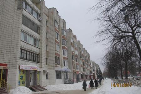 Костромская область. В большом муравейнике и схалявить легче