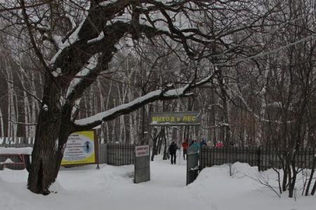 В Саратове прошла Красная лыжня КПРФ-2017