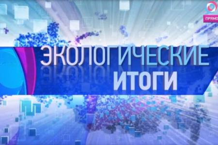 В.И. Кашин на телеканале "ОТР": "За последние четверть века в нашей стране вырезали 37 млн голов крупного рогатого скота"