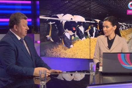 В.И. Кашин на телеканале "ОТР": "За последние четверть века в нашей стране вырезали 37 млн голов крупного рогатого скота"