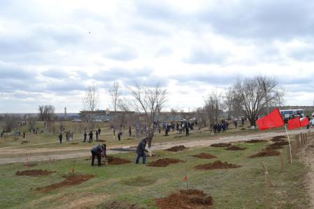 В столице Калмыкии заложили аллею в честь 100-летия Октябрьской революции