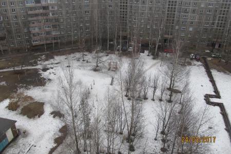 Костромские чиновники в невероятной спешке взялись за проект благоустройства жилых домов и парков