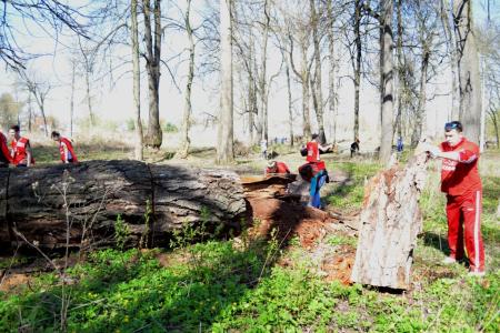 Город-герой Тула. Коммунисты возрождают любимое место отдыха туляков 