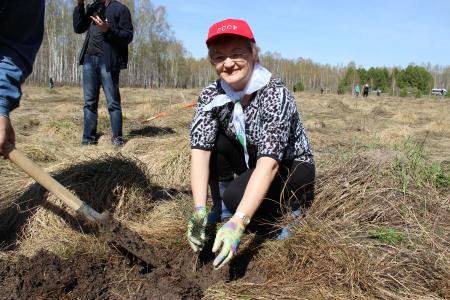 Томская область. Депутат-коммунист Наталья Барышникова поучаствовала в посадке кедров в Бакчаре