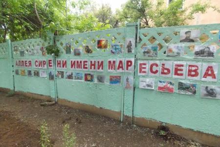 Волгоградская область. Активисты Волжского отделения организации "Дети войны" провели акцию по высадке сирени на территории детского сада