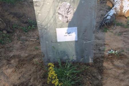 Саратовский комсомол объявляет  бессрочную экологическую акцию