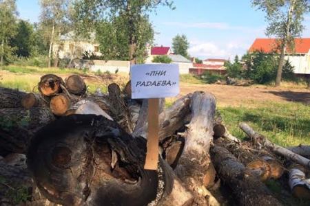 Саратовский комсомол объявляет  бессрочную экологическую акцию
