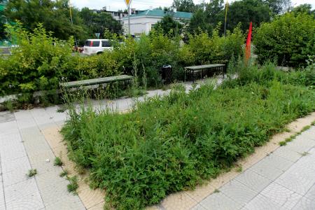 Приморский край. Коммунисты города Артема взяли шефство над заброшенным сквером