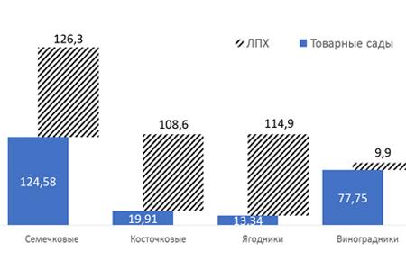 Волгоградская область. В.И. Кашин принял участие во всероссийском совещании  «О развитии садоводства и питомниководства в Российской Федерации»