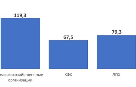Волгоградская область. В.И. Кашин принял участие во всероссийском совещании  «О развитии садоводства и питомниководства в Российской Федерации»