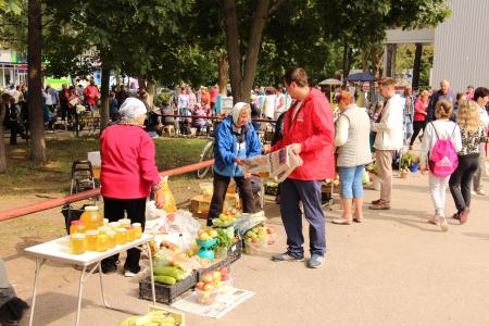 Красные агитгруппы посетили города Рязанской области