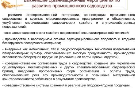 Волгоградская область. В.И. Кашин принял участие во всероссийском совещании  «О развитии садоводства и питомниководства в Российской Федерации»