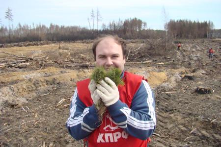 Рязанская область. Высаженные комсомольцами шесть лет назад саженцы сосны превратились в лесной участок
