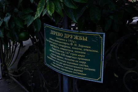 Г.А. Зюганов посетил церемонию открытия XIX Всемирного фестиваля молодежи и студентов