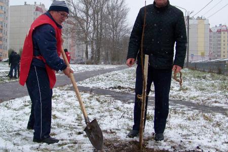 В Орле заложили аллею в честь 100-летия Великой Октябрьской социалистической революции