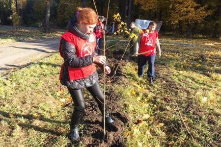 Тульский обком продолжает акцию «100 деревьев в честь столетия Великого Октября!»