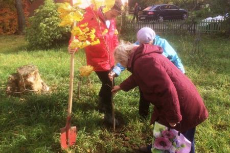 Город-герой Тула. 100 деревьев в честь столетия Великого Октября!
