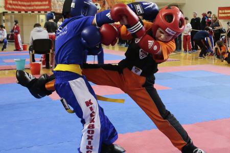 Спортклуб КПРФ провел турнир по кикбоксингу к 100-летию Октября