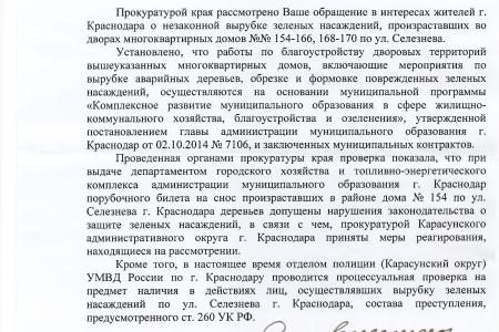 С.П. Обухов и В.Ф. Рашкин пресекли незаконную вырубку зеленых насаждений в Краснодаре