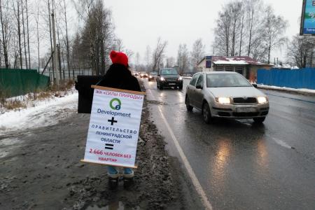 В Ленинградской области обманутые пайщики в знак протеста вышли с пикетами на Токсовское шоссе