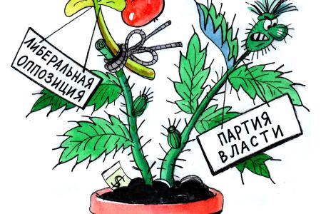 Интервью с художником-карикатуристом Вячеславом Полухиным