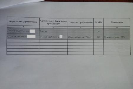 Администрация Южно-Сахалинска требует предоставить данные избирателей-врачей