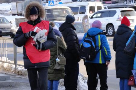 В Новосибирске продолжаются пикеты в поддержку кандидатуры Павла Грудинина на пост Президента России