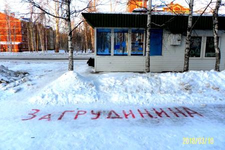 ХМАО-Югра. Как «сокол Жириновского» Грудинина пиарит 