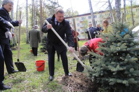 Мэр Новосибирска Анатолий Локоть вместе с учеными высадил ели на юбилей Советского района