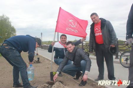 Коммунисты Тюмени посадили аллею экзотических деревьев