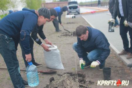 Коммунисты Тюмени посадили аллею экзотических деревьев