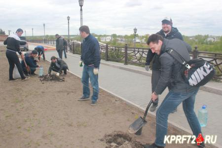 Коммунисты Тюмени посадили аллею экзотических деревьев