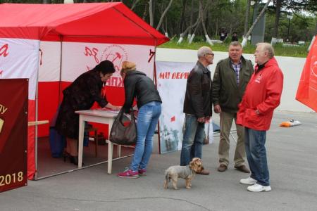Магадан. Пикет против пенсионной реформы