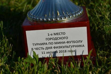 Владимирский МФК КПРФ занял 1 место в турнире по мини-футболу в честь дня физкультурника