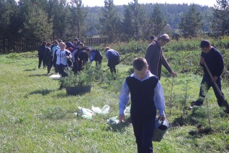 Пионеры Иркутска провели акцию по посадке аллеи ветеранов