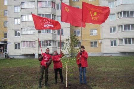 В Тамбове появилась «красная» берёзовая аллея