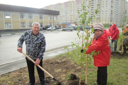 В Тамбове появилась «красная» берёзовая аллея