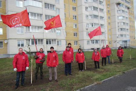 В Тамбове появилась «красная» берёзовая аллея