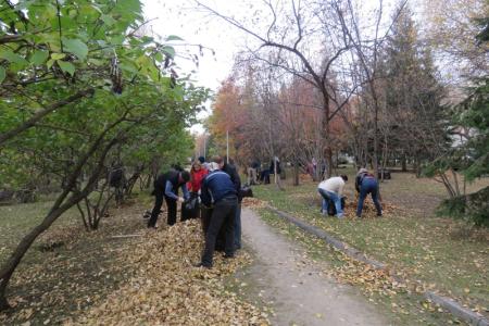 Новосибирские коммунисты очистили от мусора Сквер Героев революции 
