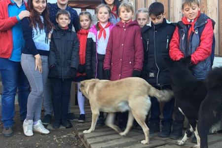 Славные дела пионерии Иркутска
