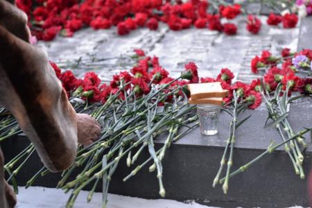 «Не сдерживали слез»: Сотни новосибирцев почтили память воинов, погибших в Афганистане