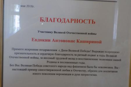 Сергей Гаврилов вместе с комсомольцами поздравил воронежцев с Днем Великой Победы