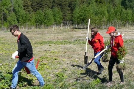 Ивановские коммунисты поддержали Всероссийский день посадки леса