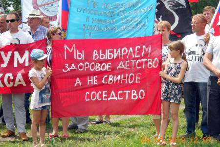 Воронежская область. Против «свинства» агрохолдингов