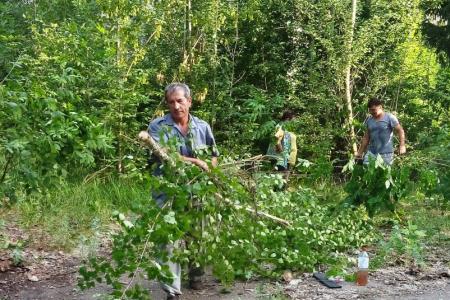Саратовская область, г.Балашов. Не зарастет к нему народная тропа!